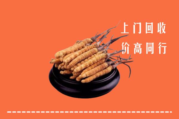高价求购：萝北县回收散虫草