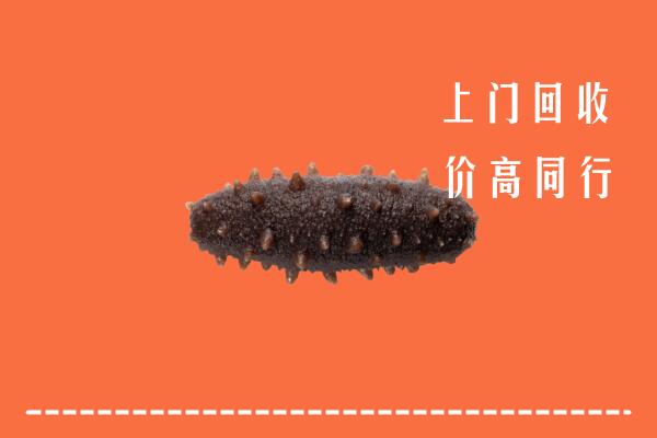 萝北县回收海参