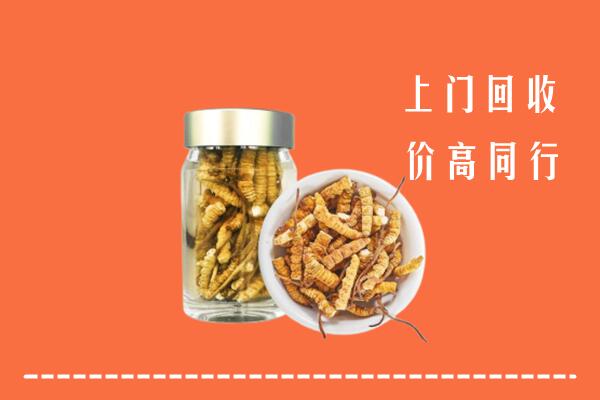 萝北县回收冬虫夏草