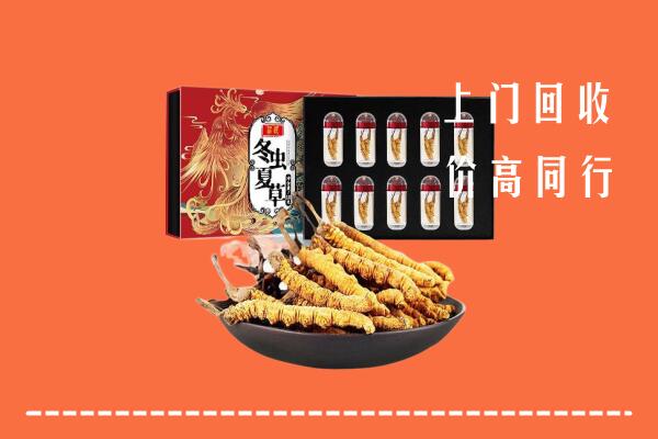 萝北县回收虫草